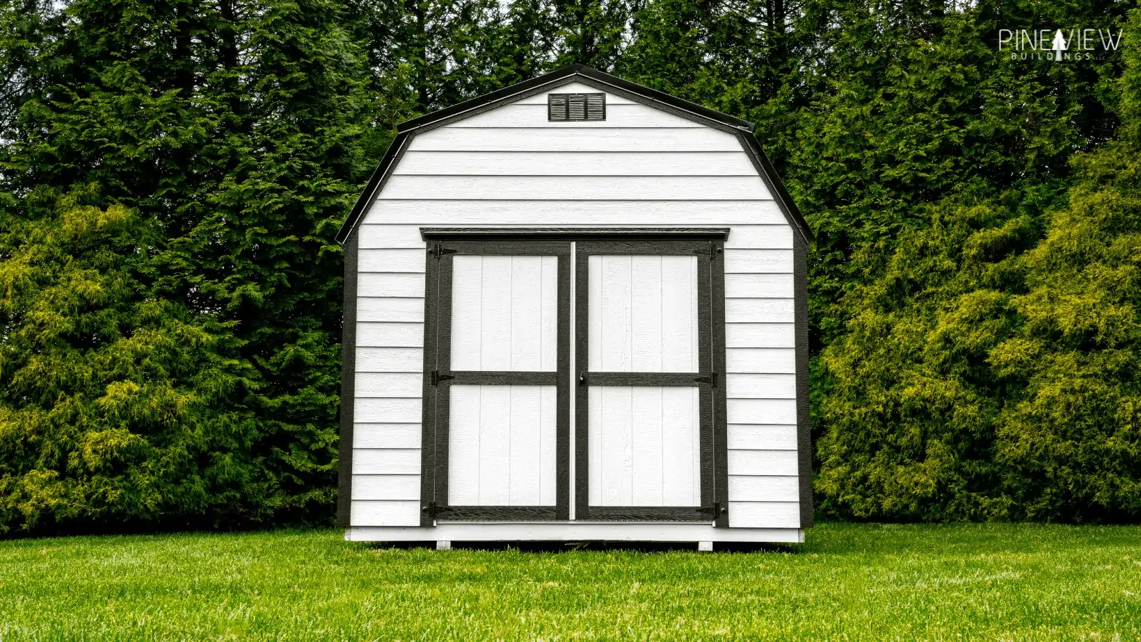 Sheds provide a great starting point for chicken coops.
