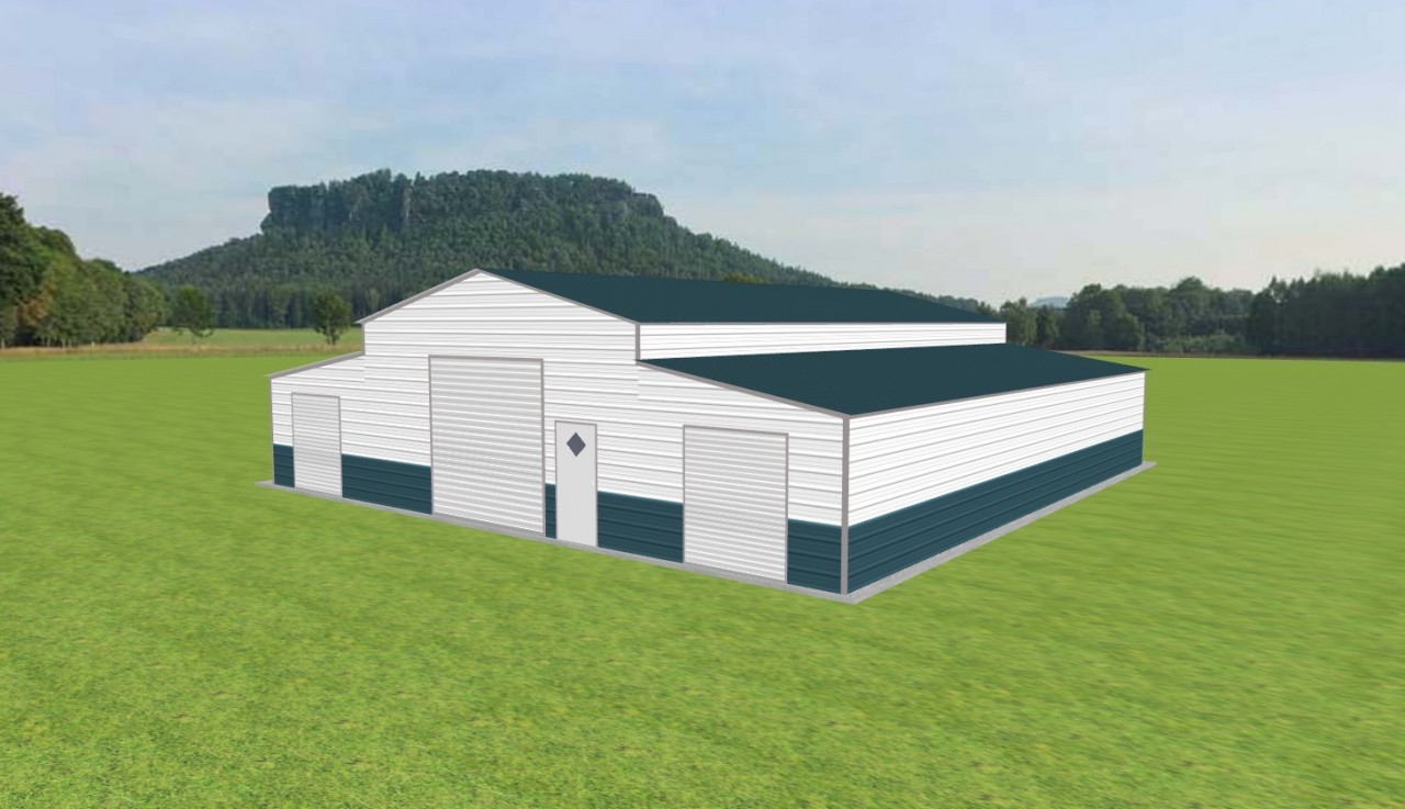 Raised Center Barns 24 x 50 x 12 — photo 1
