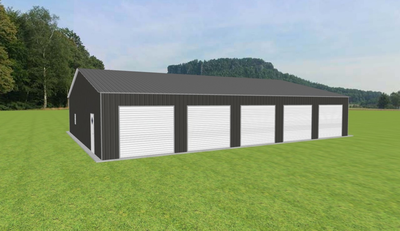 5 Car Garage 46 x 60 x 10 — photo 1